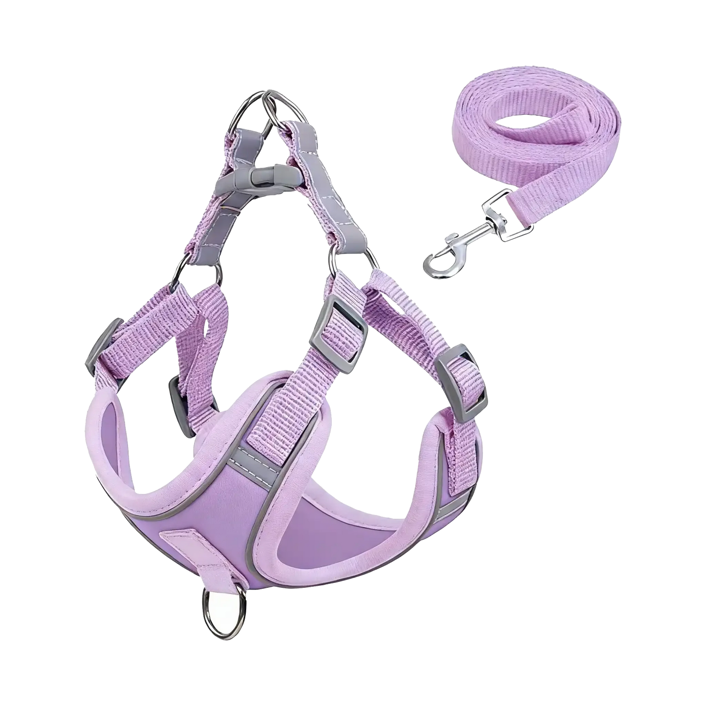Sample Pet Leash #8