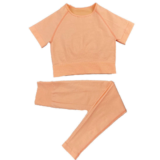 Seamless Women Yoga Set