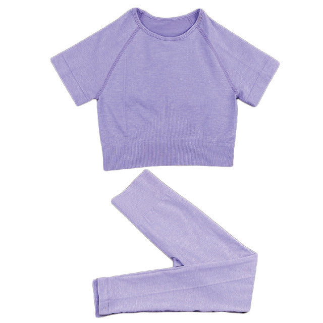 Seamless Women Yoga Set