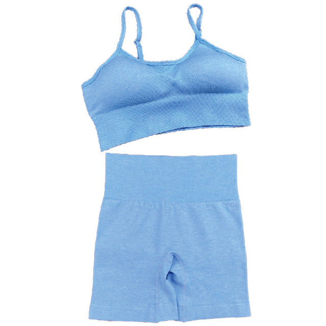 Seamless Women Yoga Set