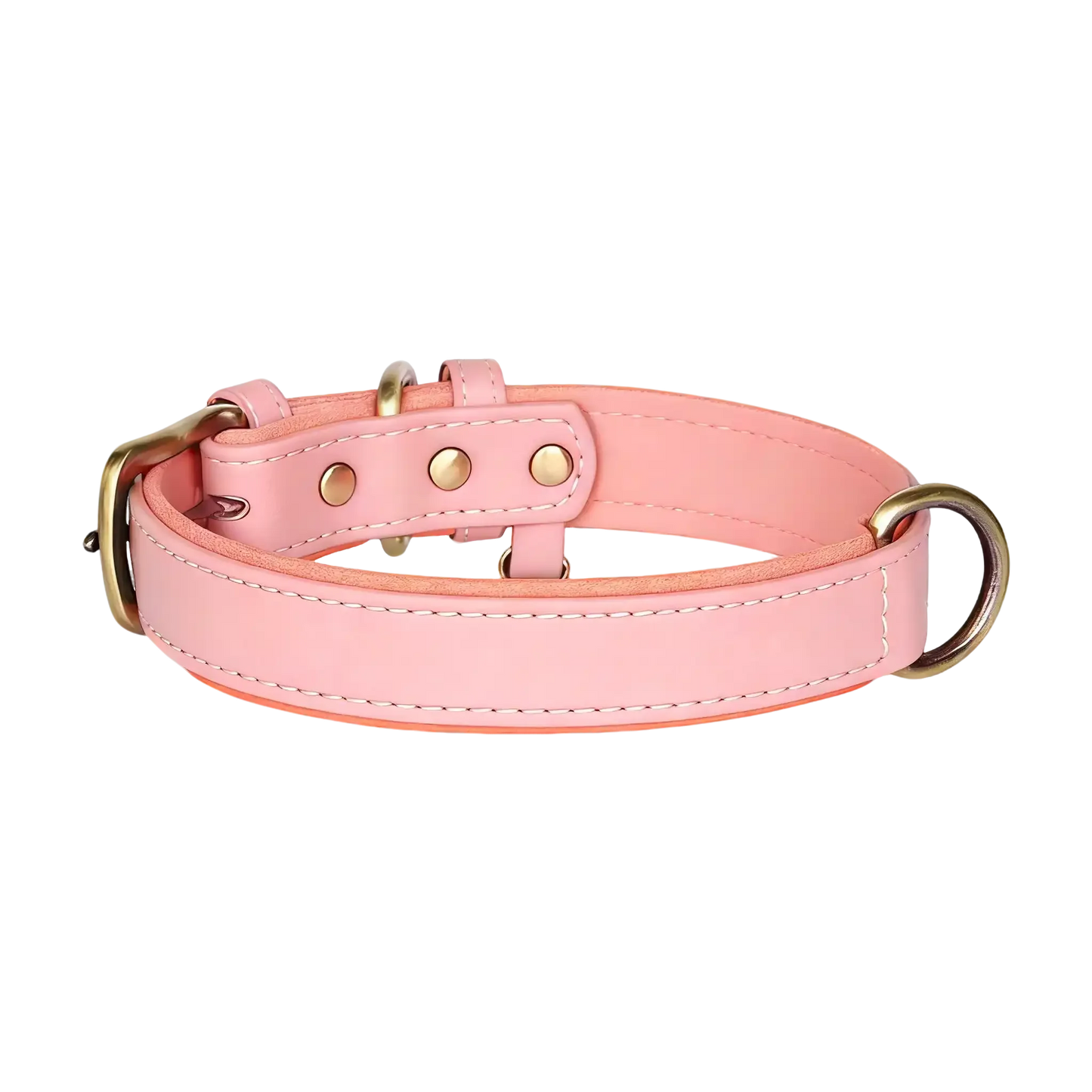 Sample Pet Collar #1