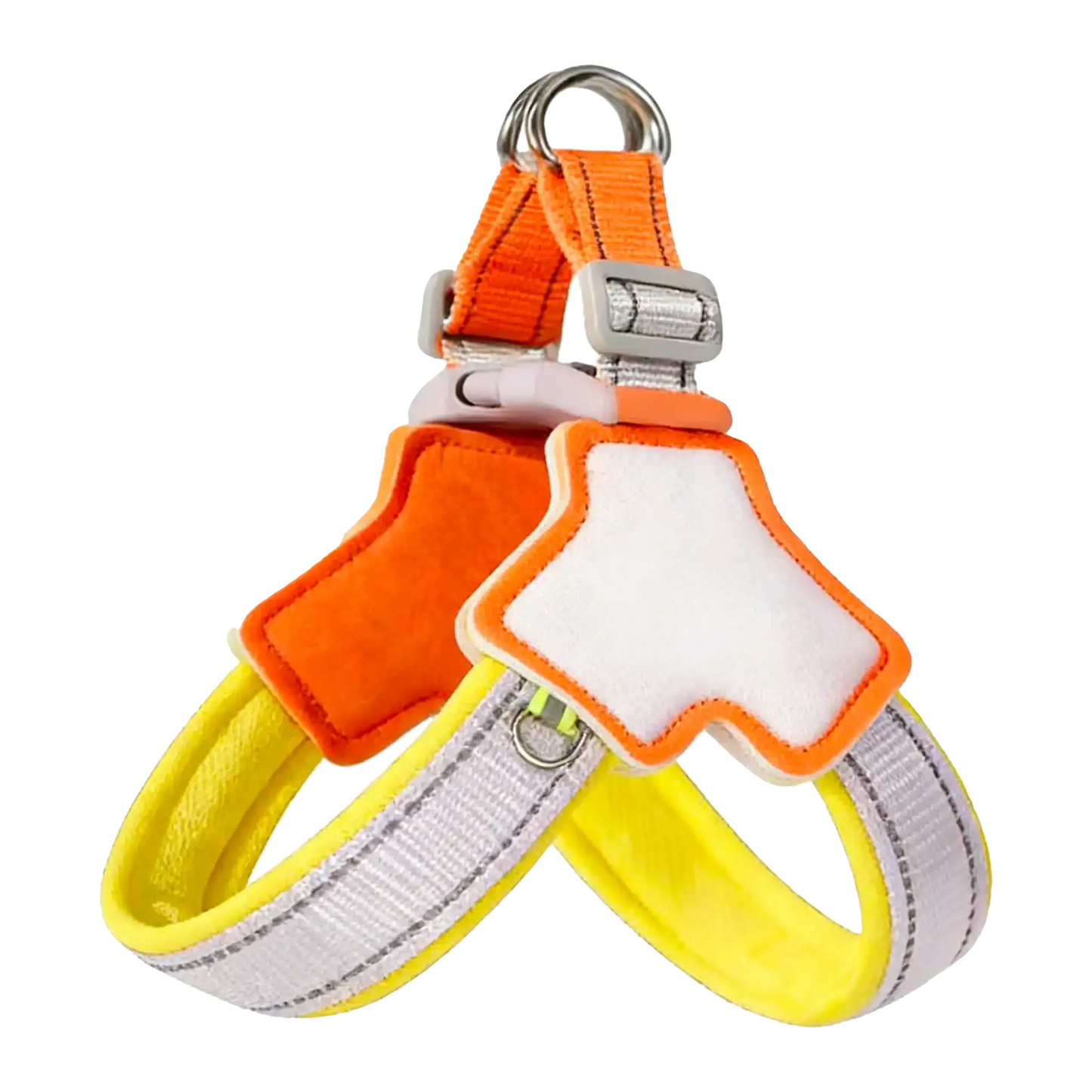 Sample Pet Leash #2