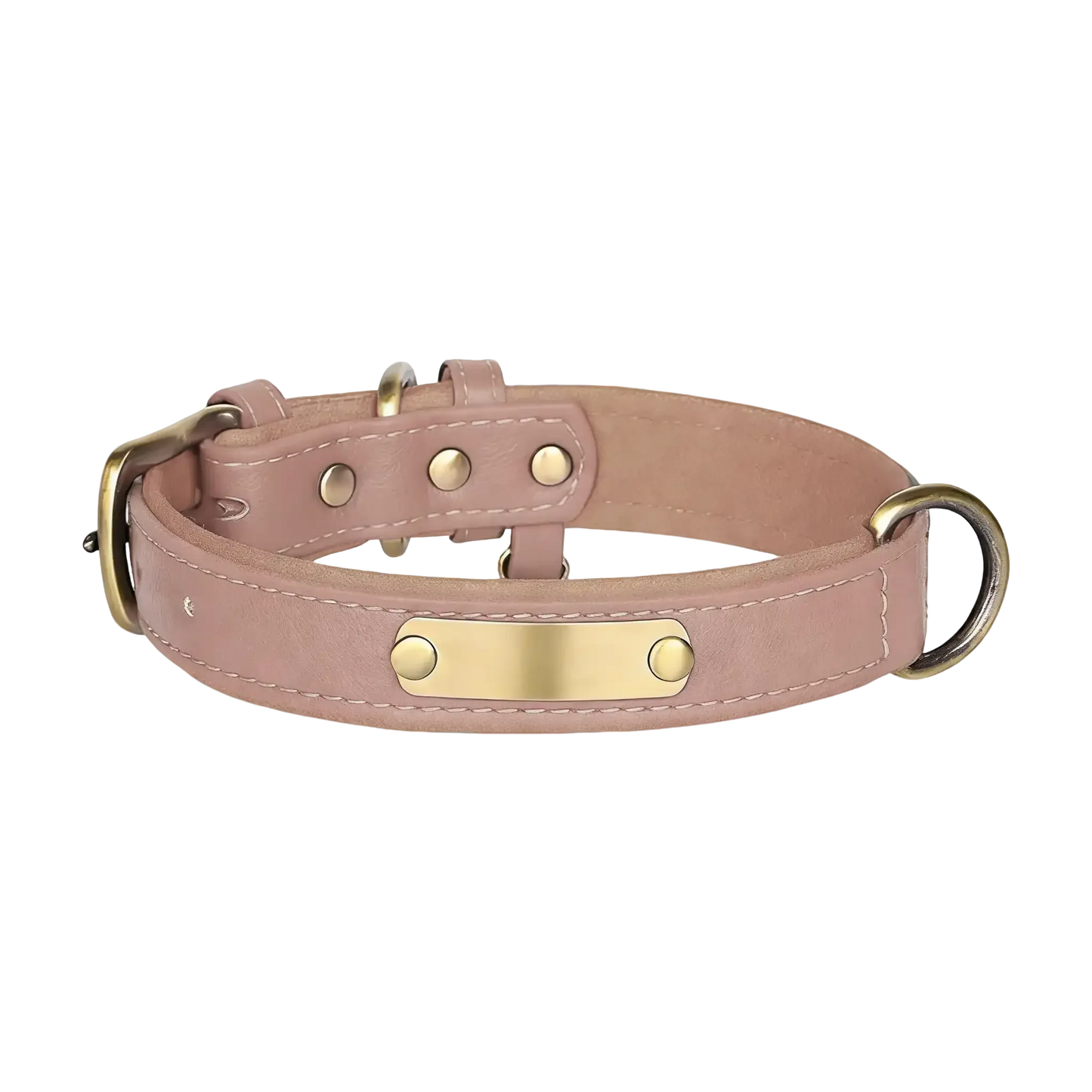 Sample Pet Collar #3