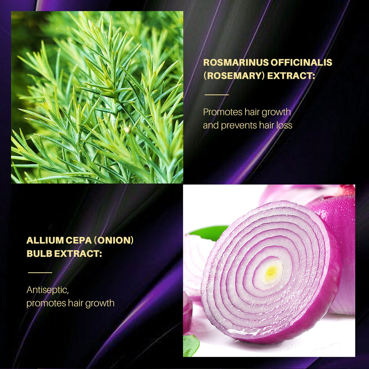 Lianbiquan Rosemary Onion Shampoo