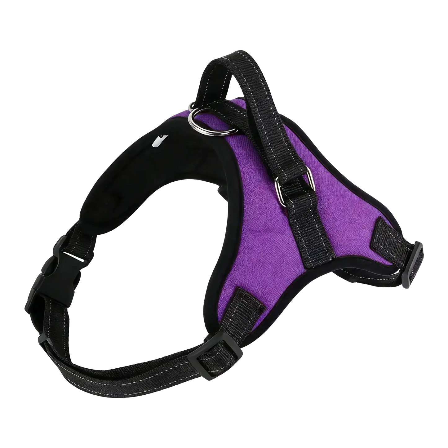Sample Pet Leash #4