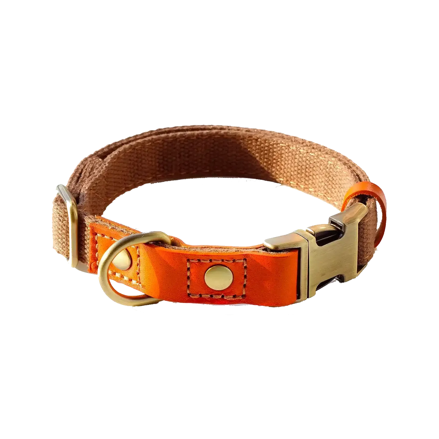 Sample Pet Collar #5