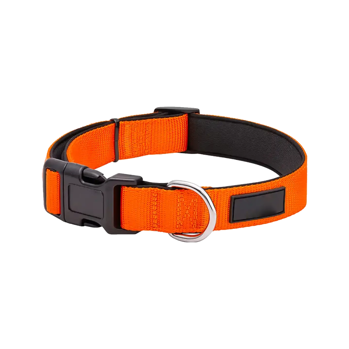 Sample Pet Collar #6