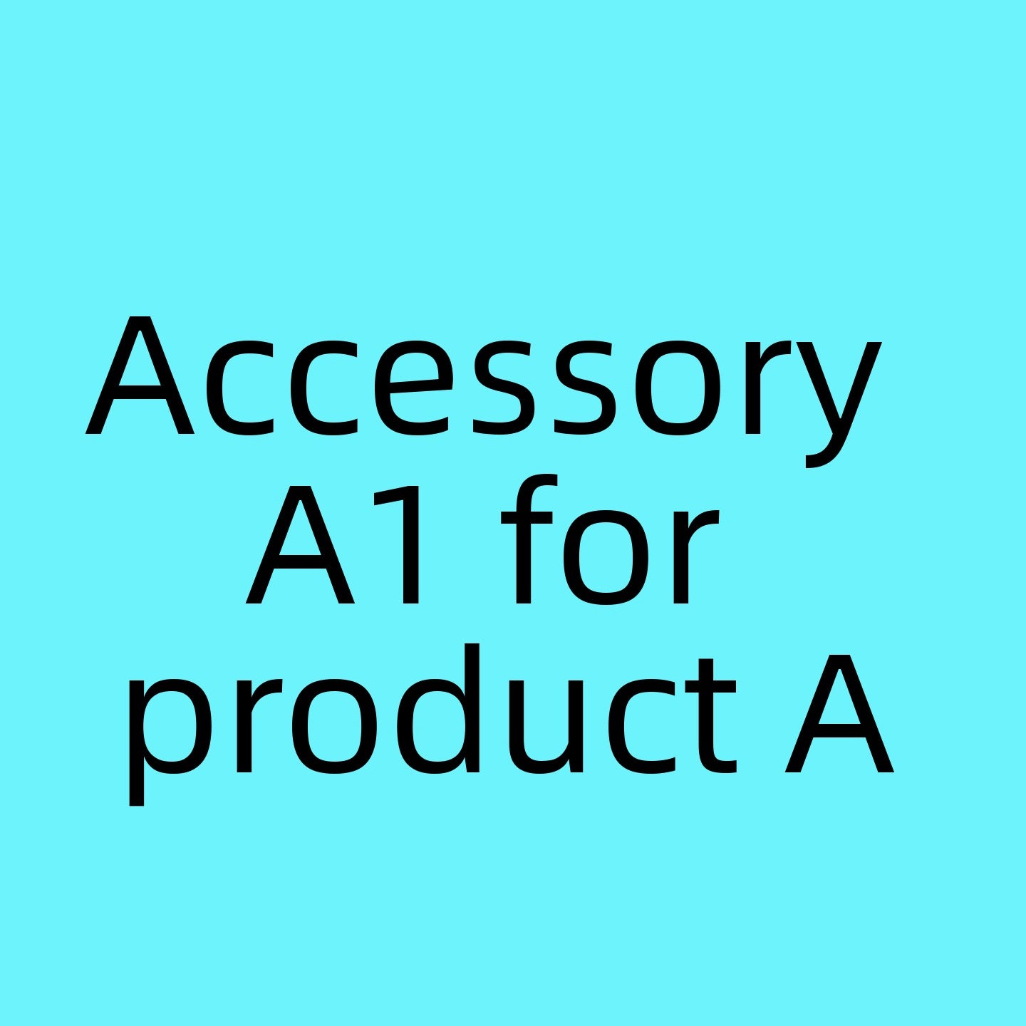 Accessory A1 for product A
