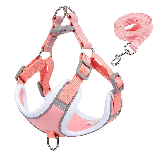 Sample Pet Leash #10