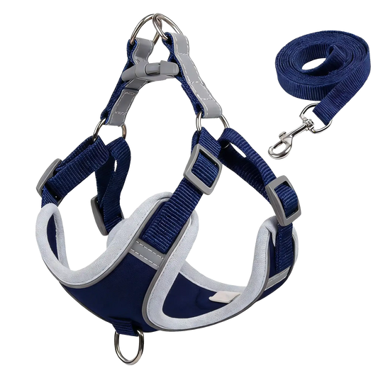 Sample Pet Leash #7