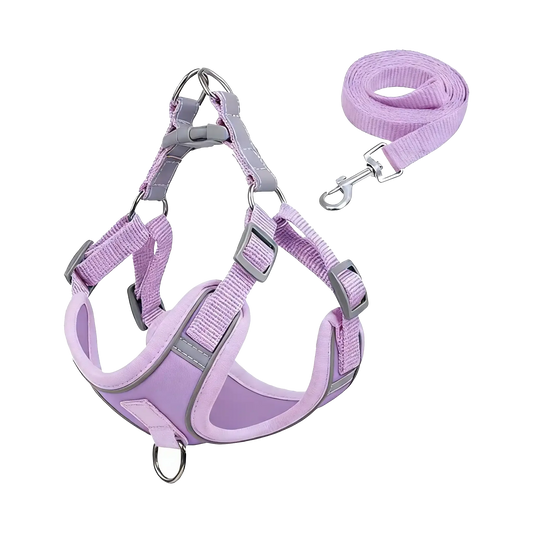 Sample Pet Leash #8