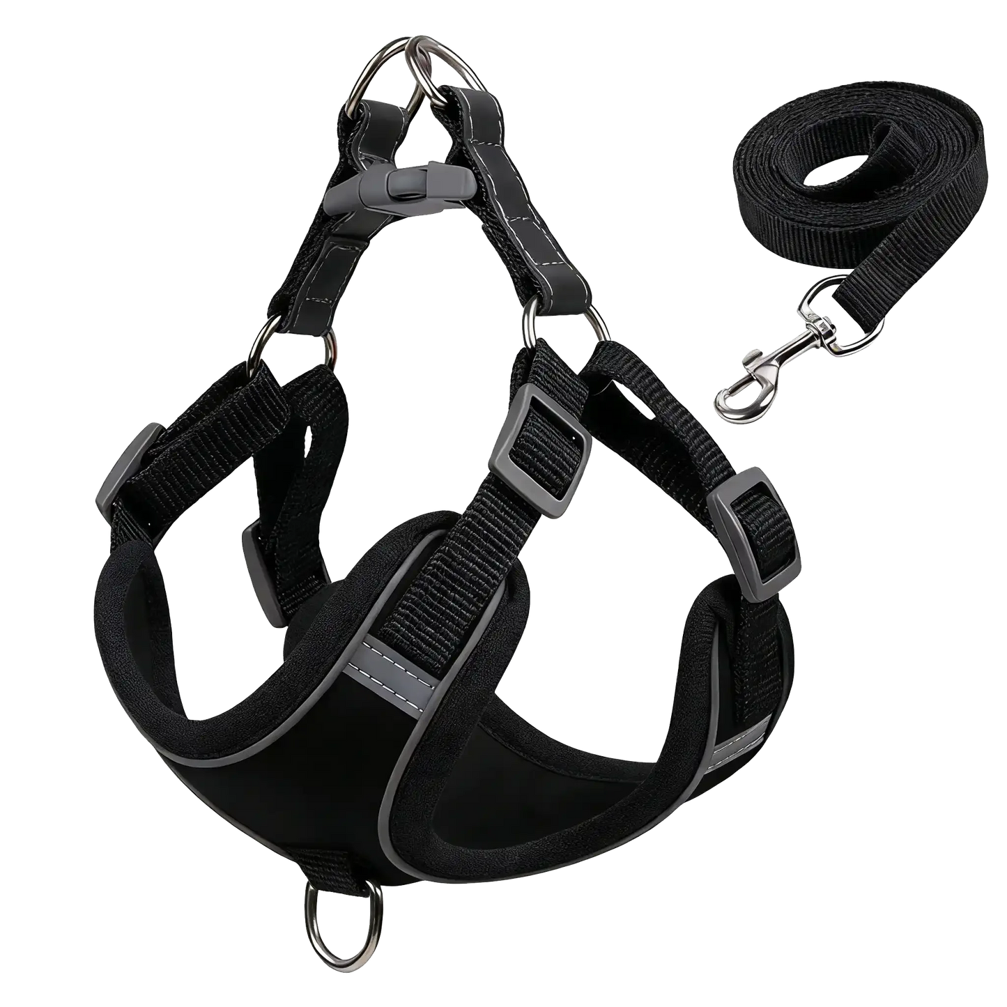 Sample Pet Leash #9