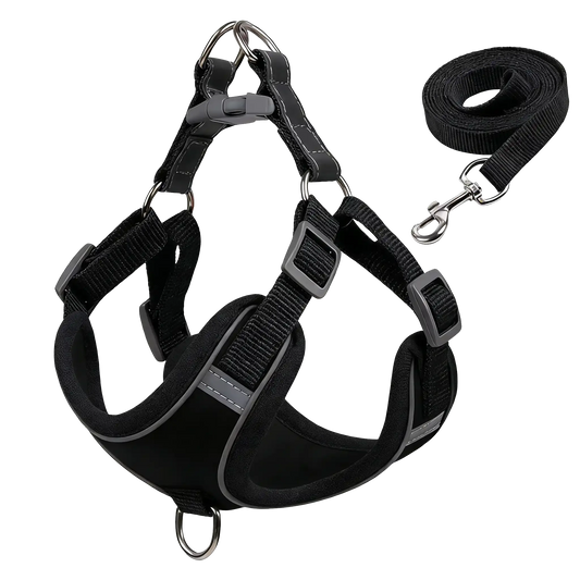 Sample Pet Leash #9