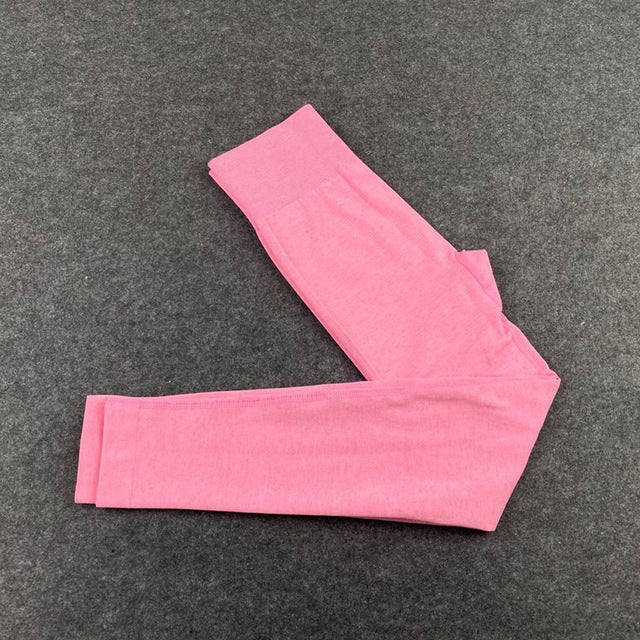 Seamless Women Yoga Set