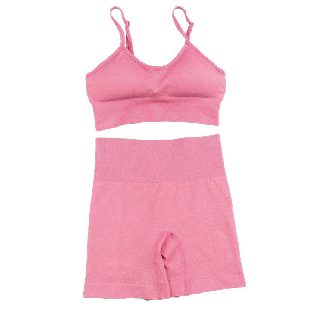 Seamless Women Yoga Set