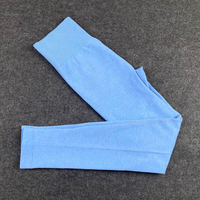 Seamless Women Yoga Set