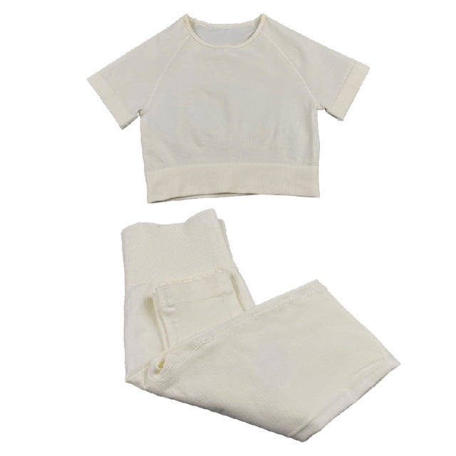 Seamless Women Yoga Set