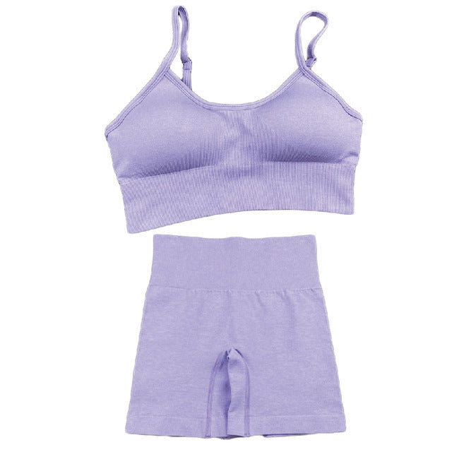 Seamless Women Yoga Set