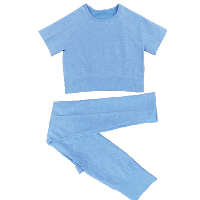 Seamless Women Yoga Set