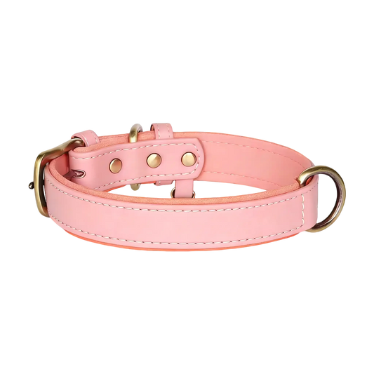 Sample Pet Collar #1