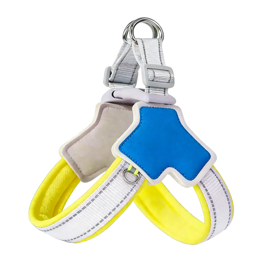 Sample Pet Leash #1