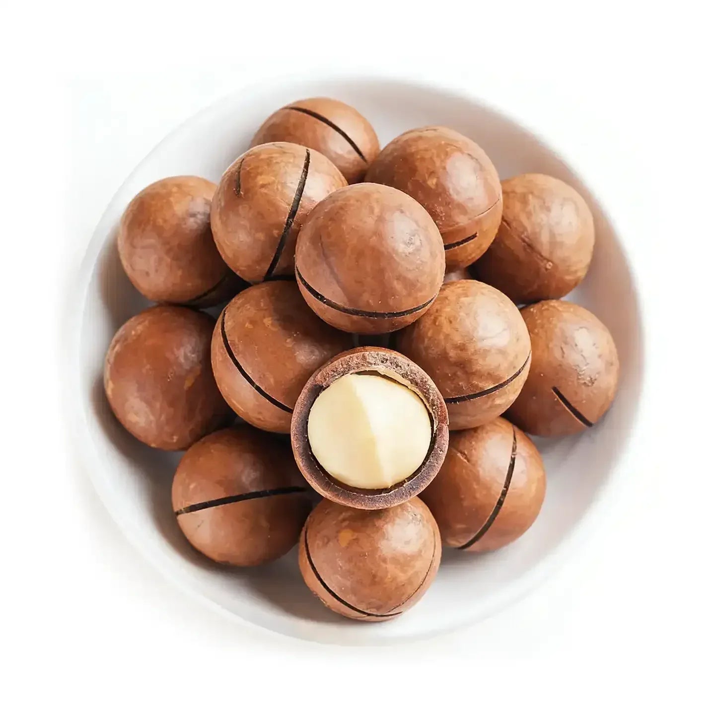 Sample Nuts #2