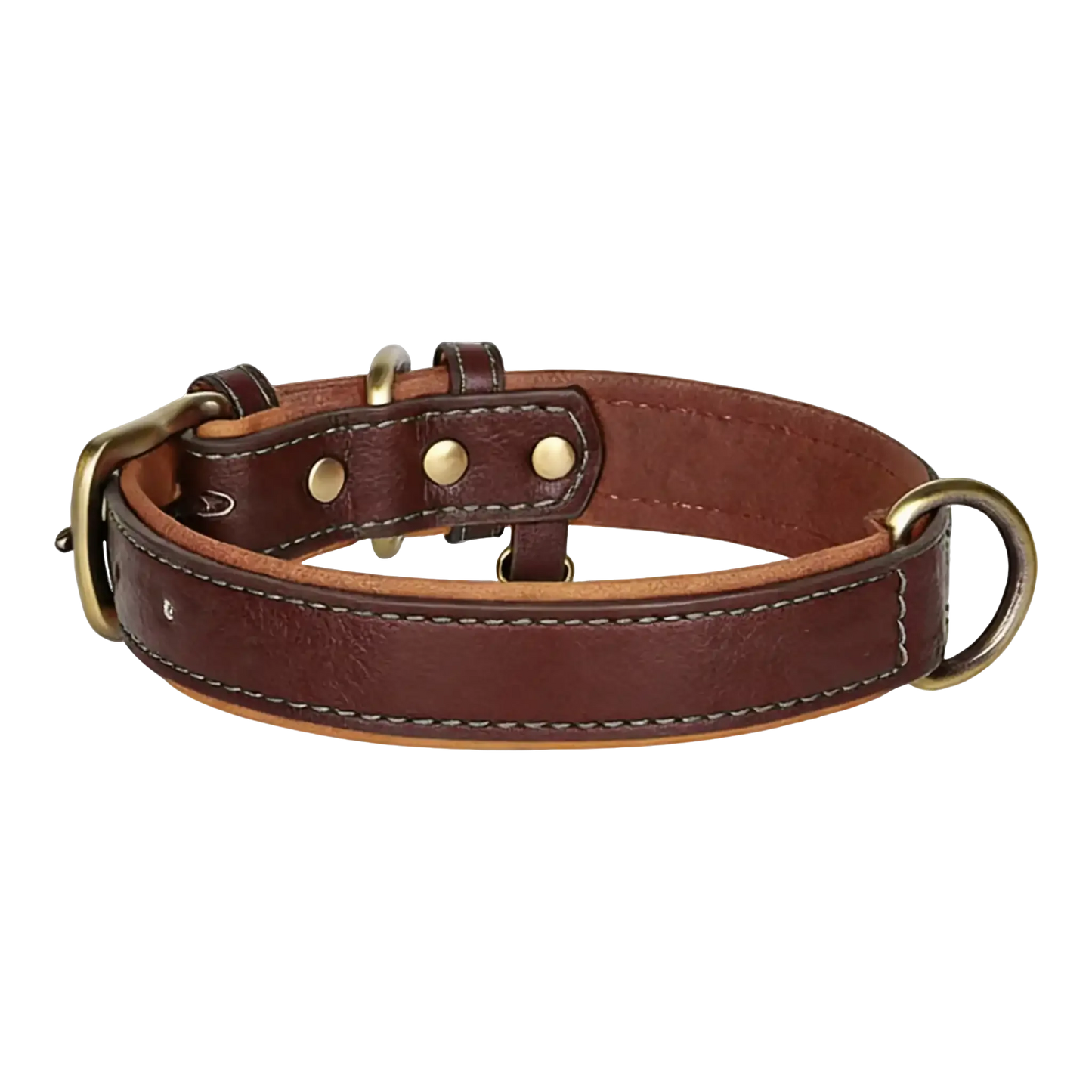 Sample Pet Collar #2