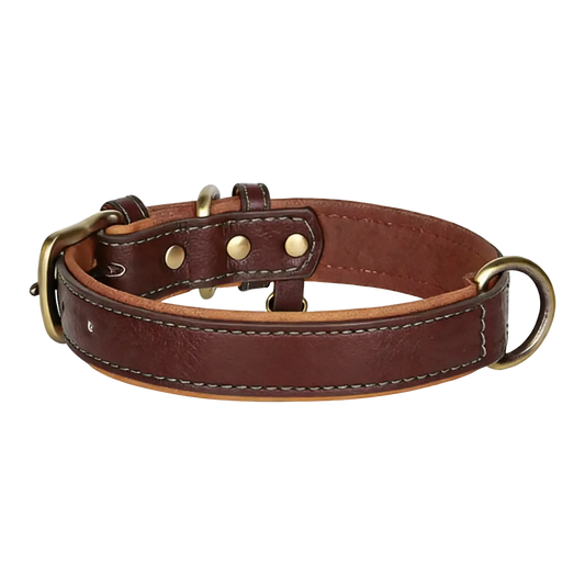 Sample Pet Collar #2