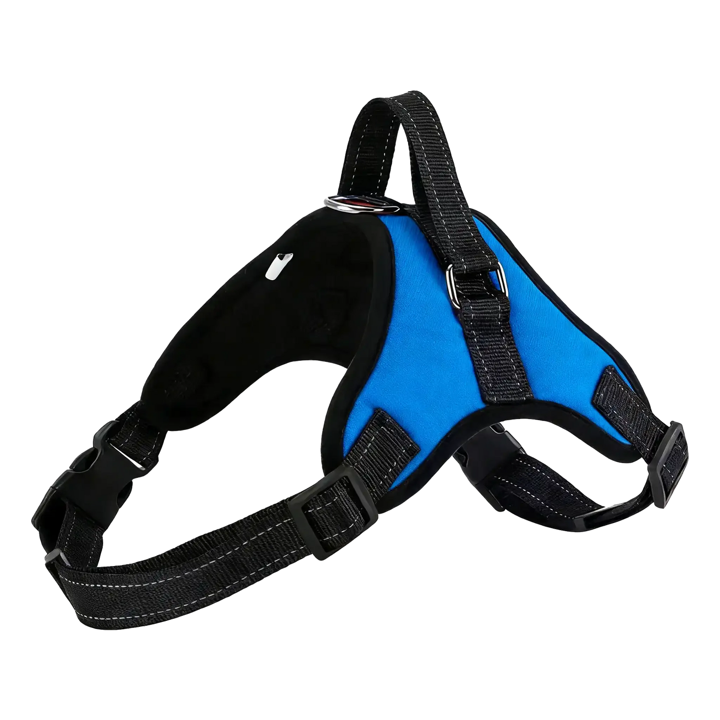 Sample Pet Leash #3