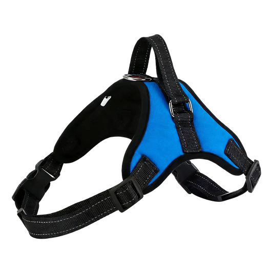 Sample Pet Leash #3