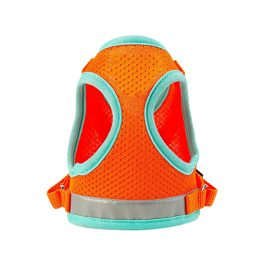 Sample Pet Vest #3