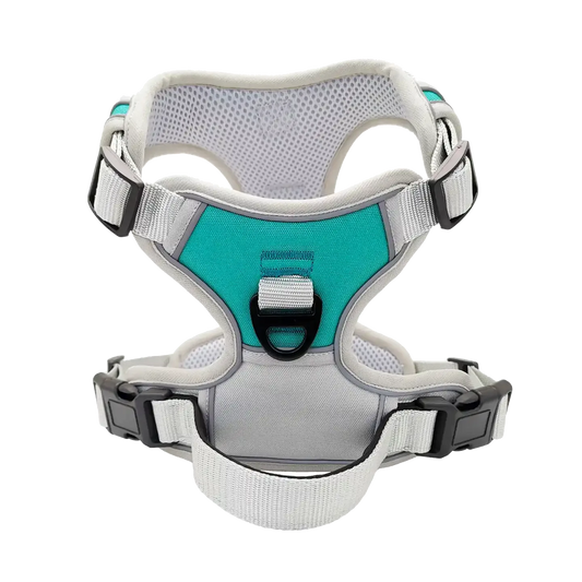 Sample Pet Vest #4