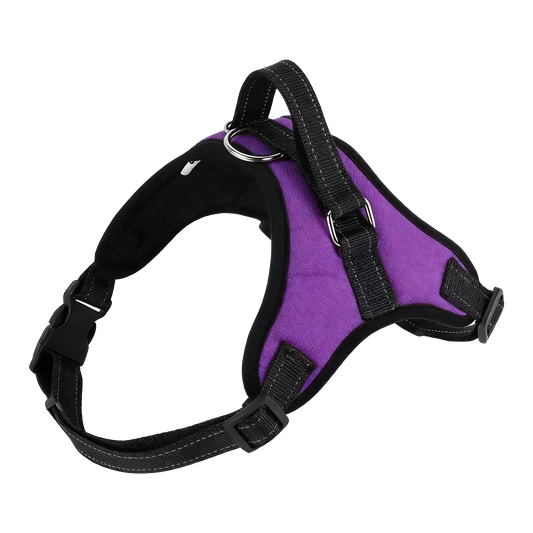 Sample Pet Leash #4