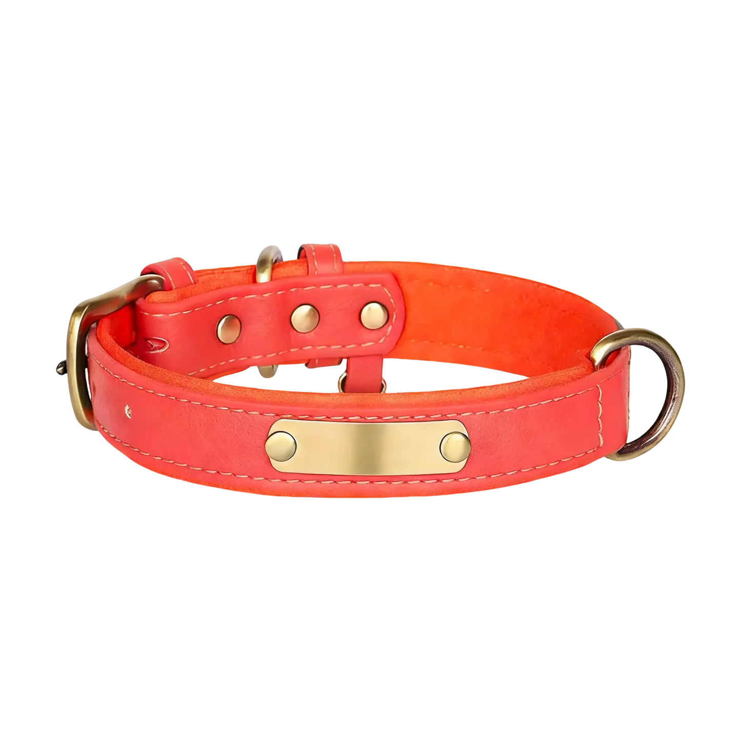 Sample Pet Collar #4