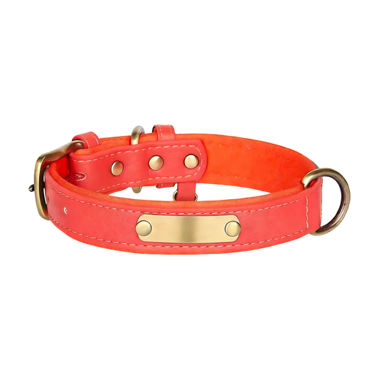 Sample Pet Collar #4