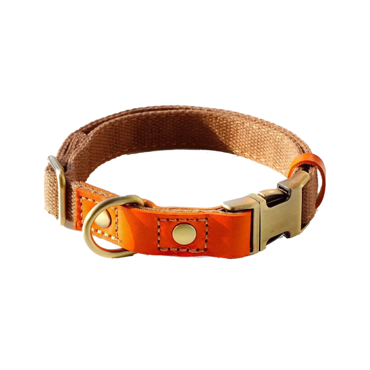 Sample Pet Collar #5