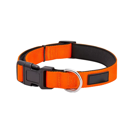 Sample Pet Collar #6